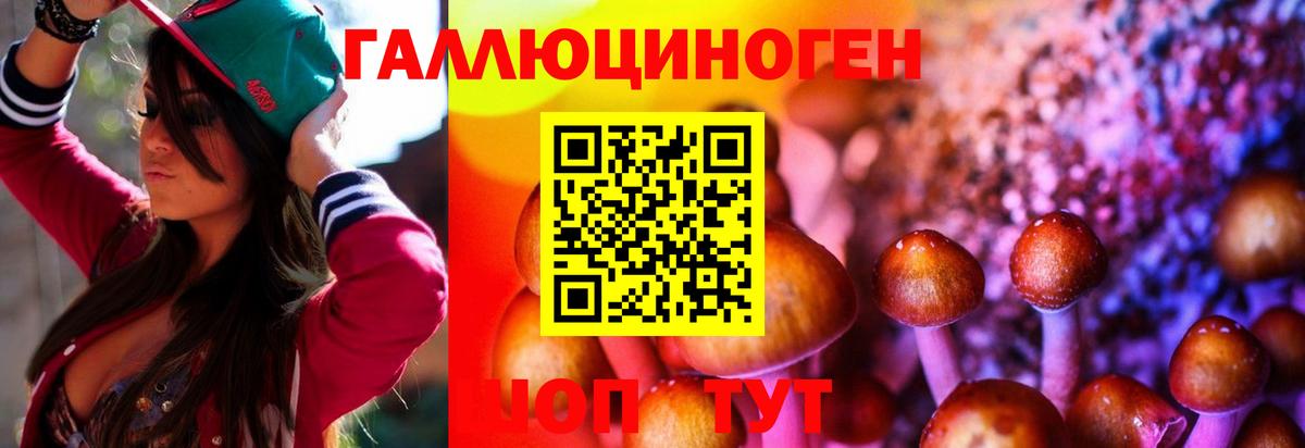 Псилоцибиновые грибы ЛСД  Псилоцибиновые грибы Cubensis  Вход с VPN  Саратов 